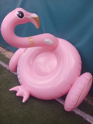 Imagen de Inflable colchoneta grande Flamenco