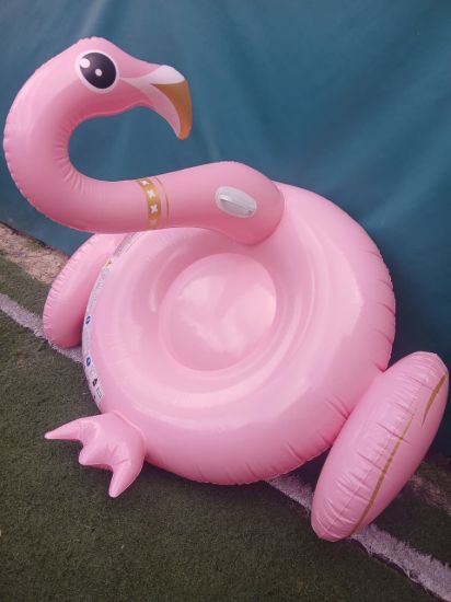 Imagen de Inflable colchoneta grande Flamenco